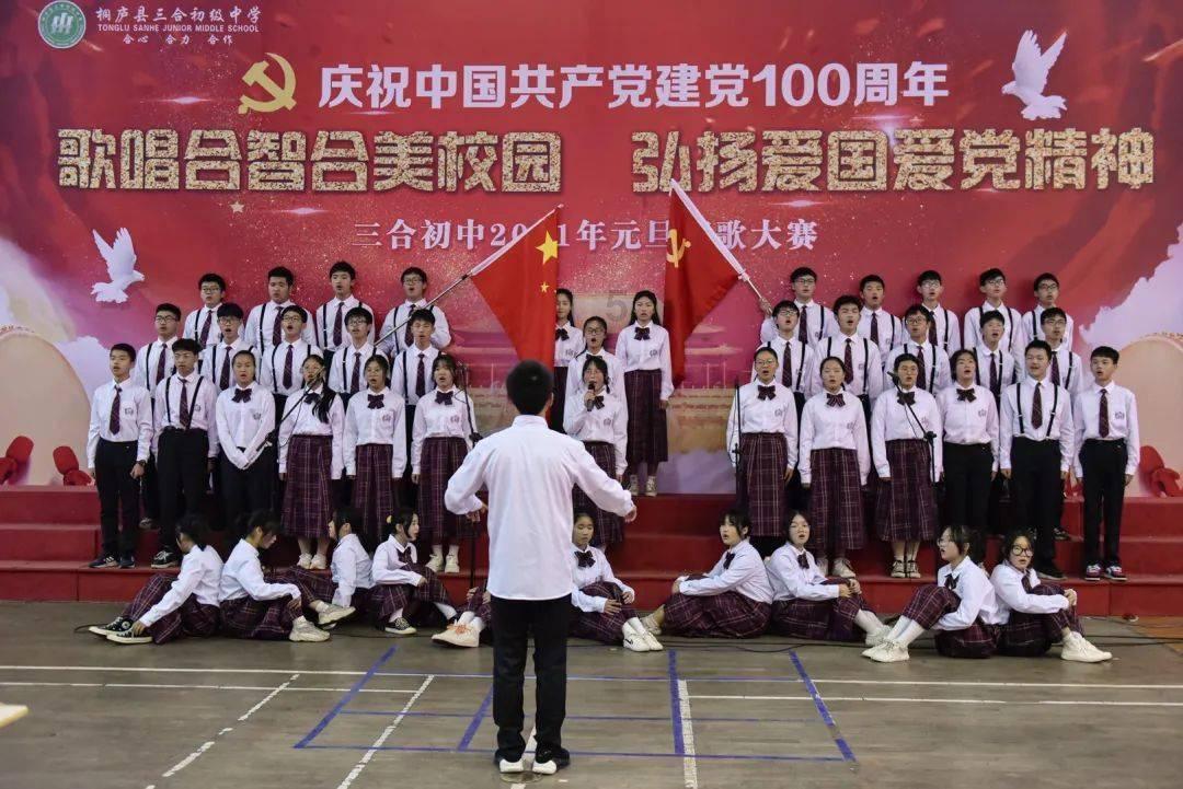 三皇子叶君是什么小说游戏画面